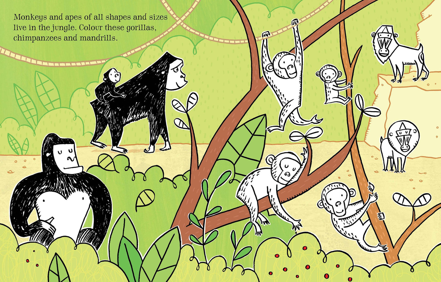 First Colouring Book Jungle