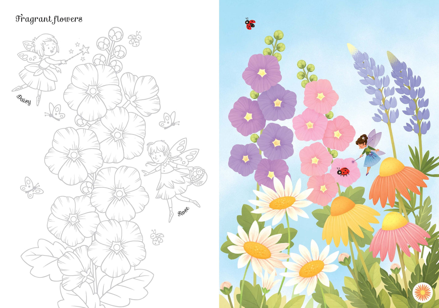 Transfer Activity Book Fairies