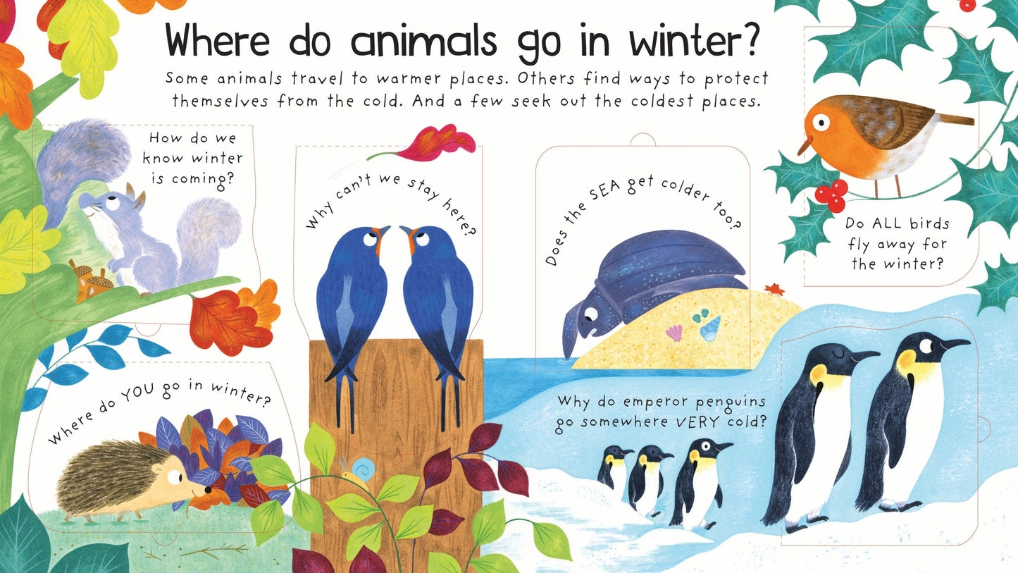 First Questions and Answers: Where Do Animals Go In Winter?