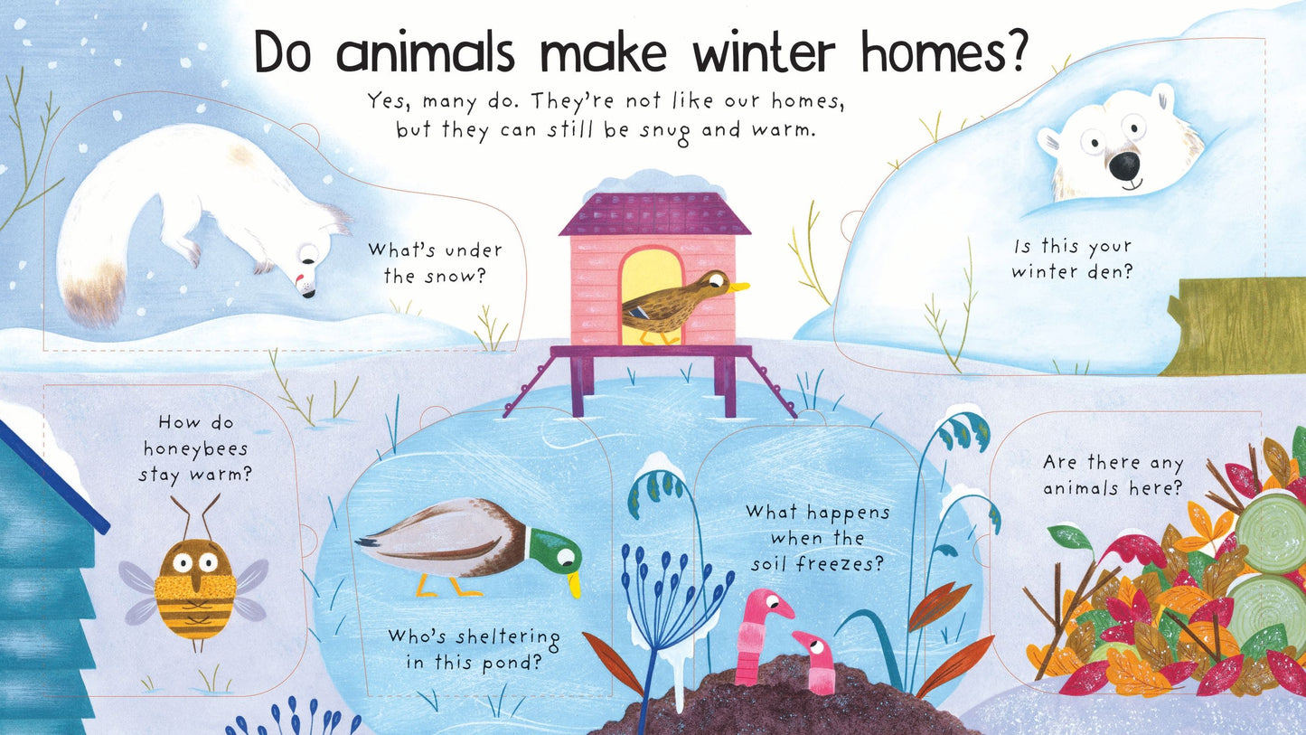 First Questions and Answers: Where Do Animals Go In Winter?