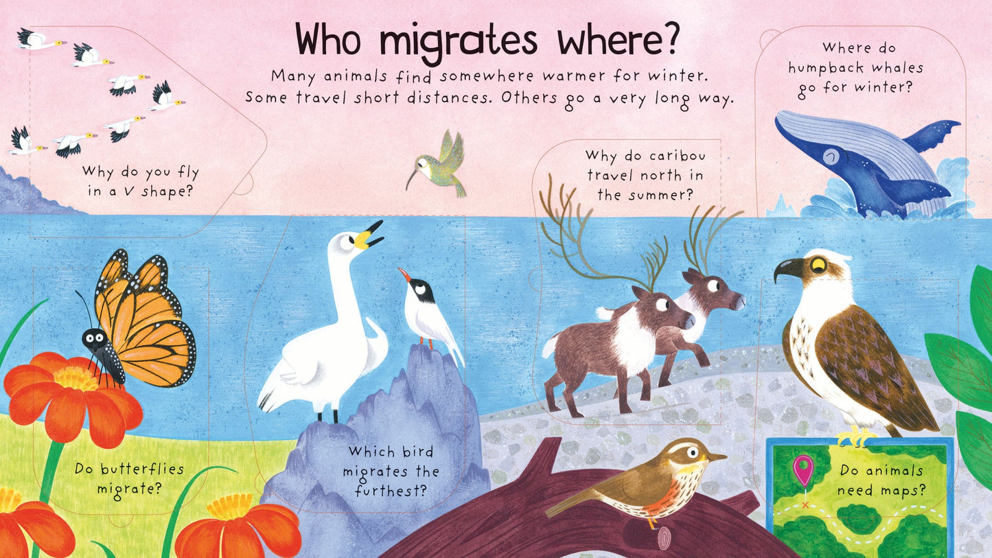 First Questions and Answers: Where Do Animals Go In Winter?