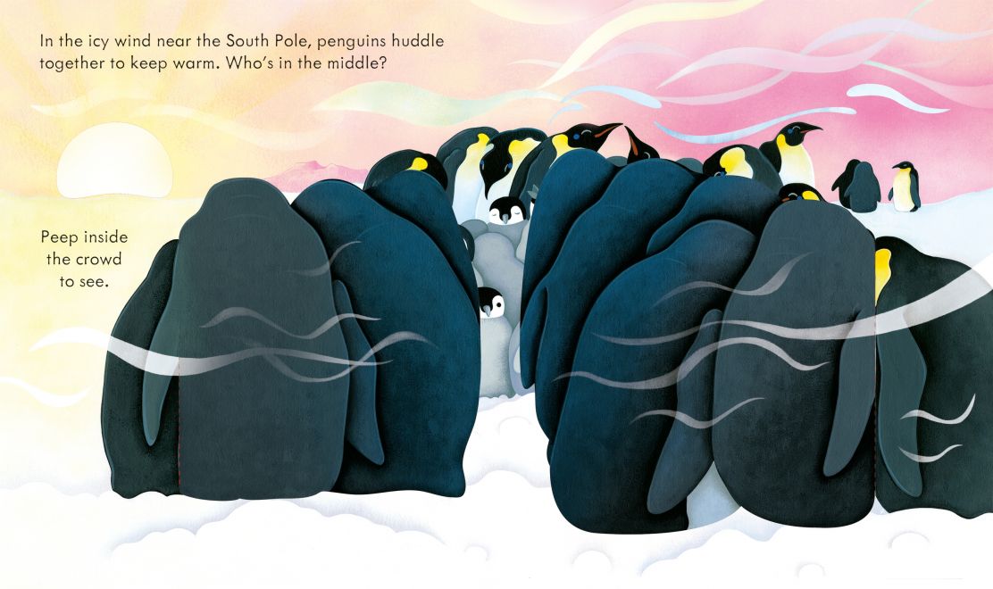 Peep Inside Snowy Places