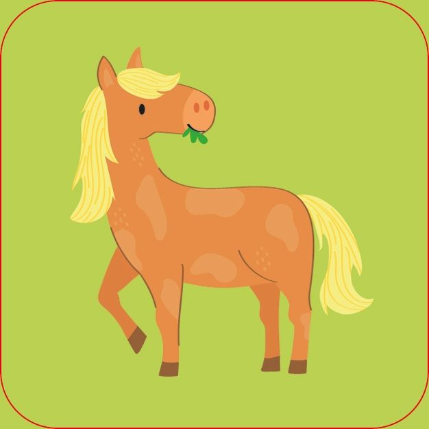 Farm Matching Games and Book
