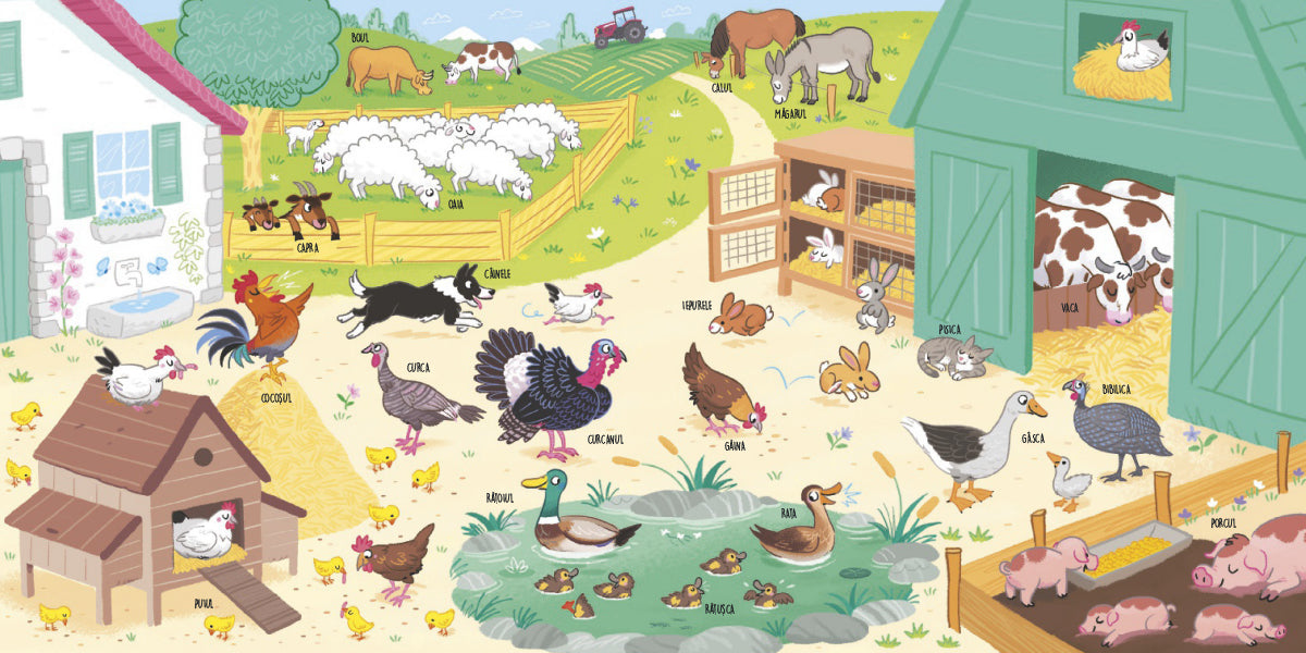 Ce stii despre puii de animale de la ferma?