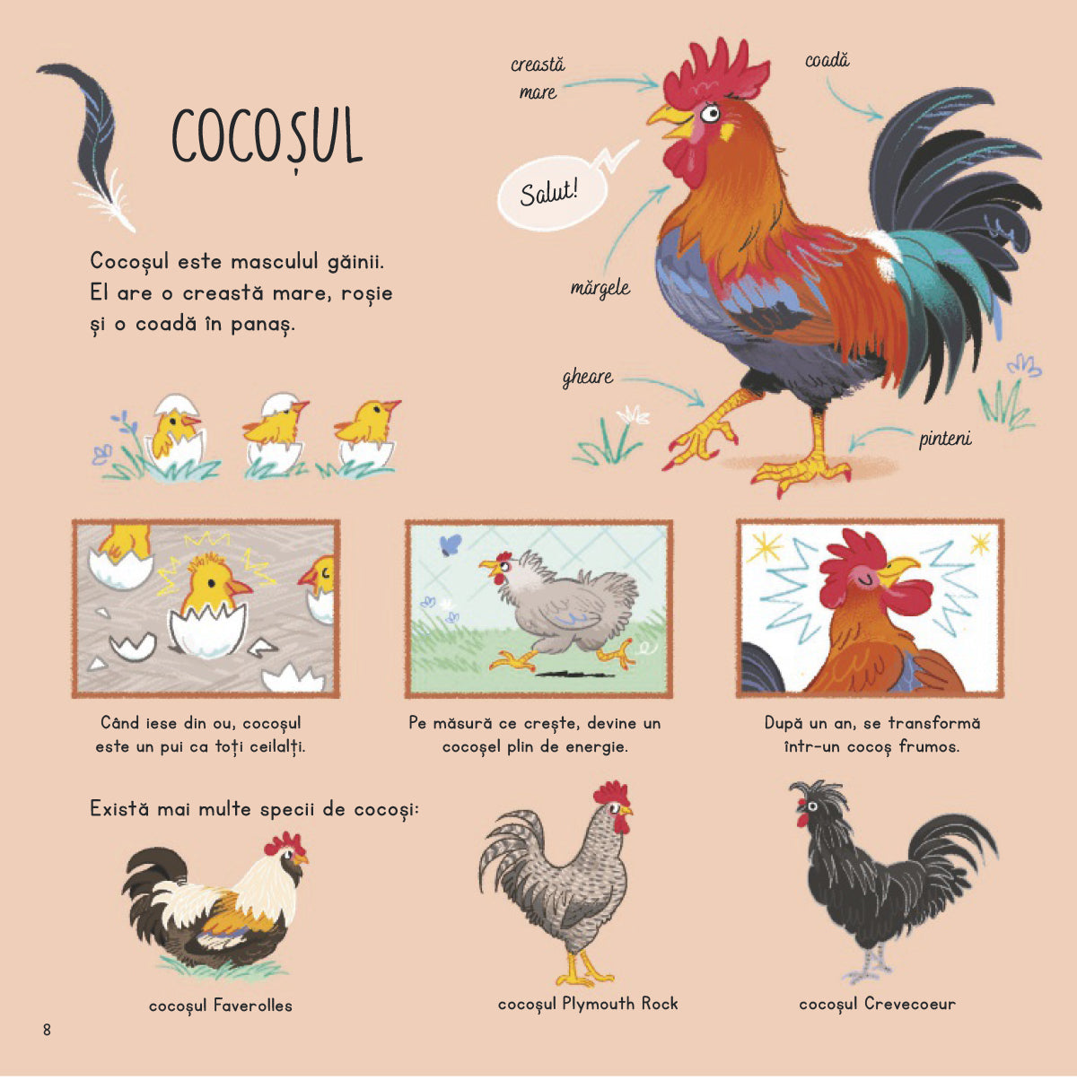 Ce stii despre puii de animale de la ferma?