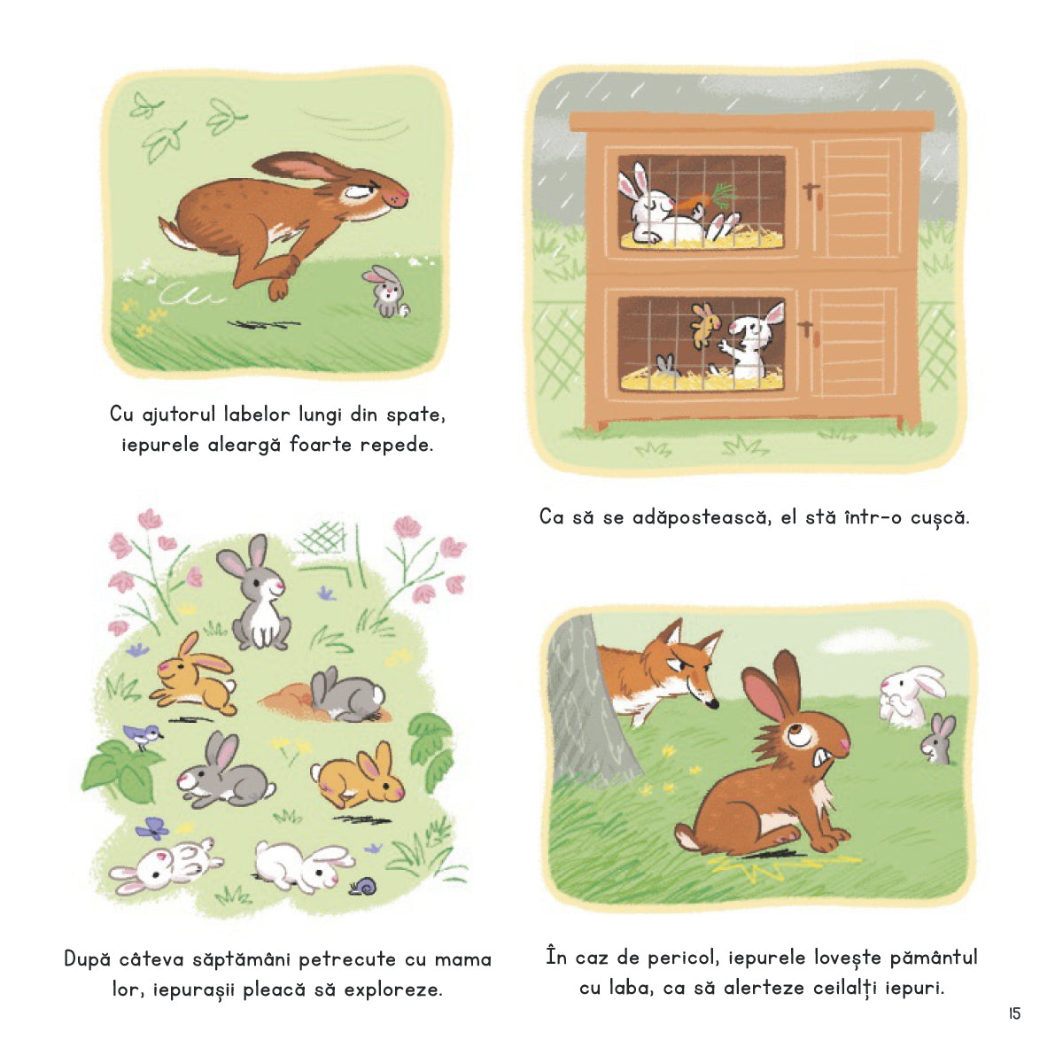 Ce stii despre puii de animale de la ferma?