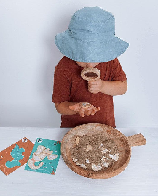 Caută și construiește dinozaurii