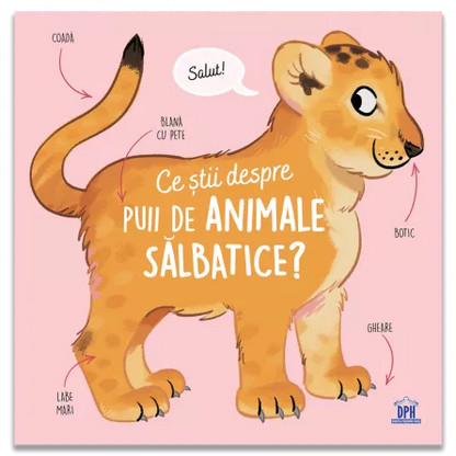 Ce stii despre puii de animale salbatice?
