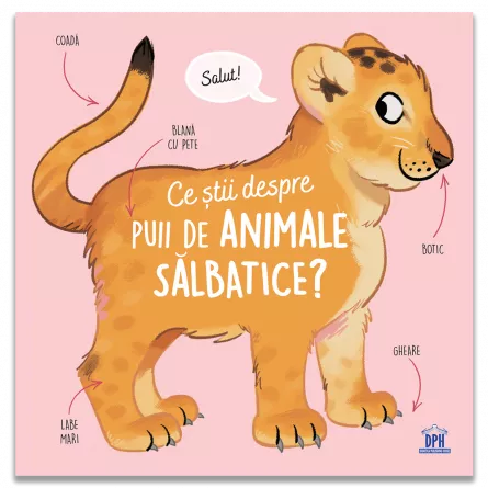 Ce stii despre puii de animale salbatice?